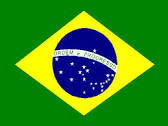 Brazil Hand Held Flags