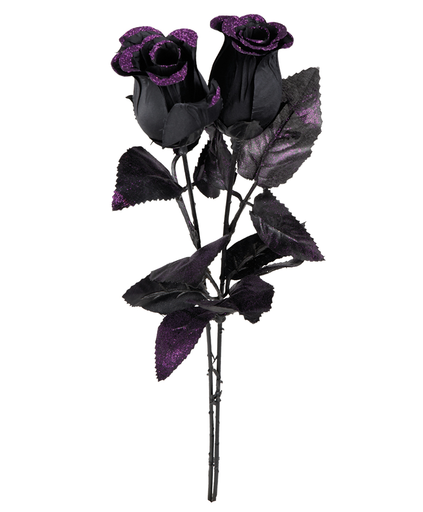 Flower Black Rose