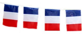 Flag Bunting - 4 metres - France