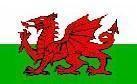 Large Polyester Flag - Wales